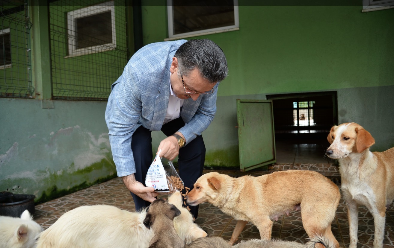 9D6C725A 3B62 4757 9642 Df4242A5666B