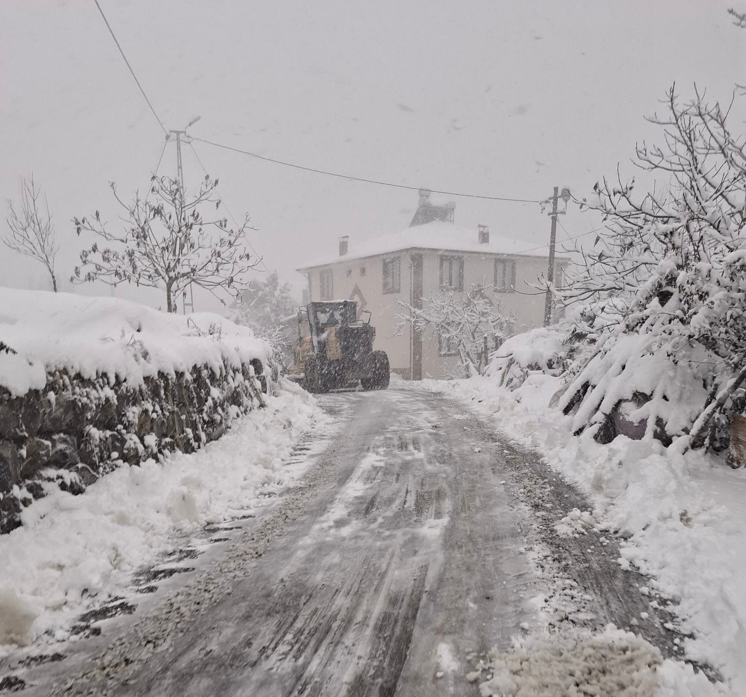 A3069D0B E9Be 4Dfb 9Fc1 Da17F8806022