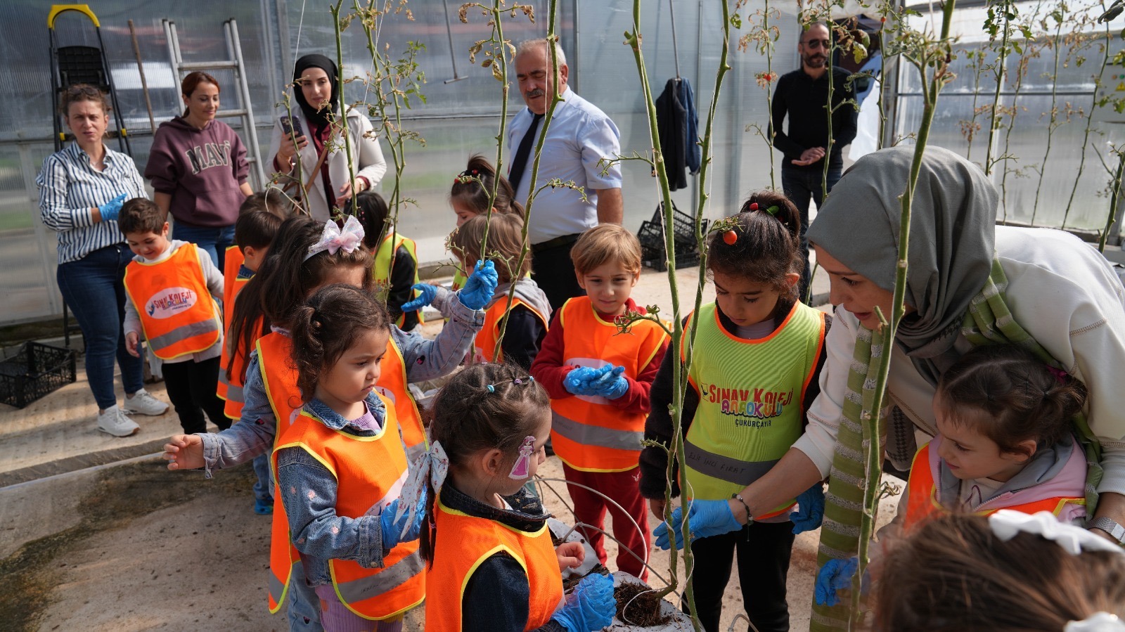 Aadc6816 29B9 47F5 9A35 5274F7925F48