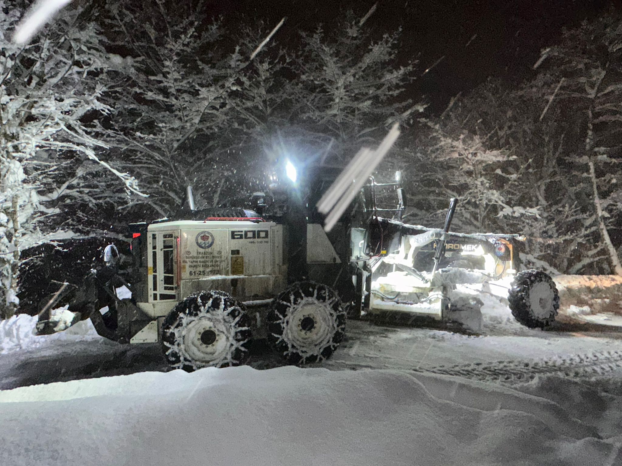 B06A1Af9 7507 4A4B B605 5D78Ff2C0215