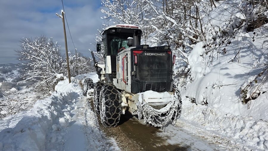 C07 A0672 743 A 41 B F 9 F21 B B2 E0 A185 C B D