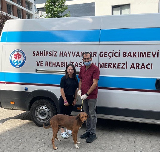 Cc67403B 0De5 4Db4 823F D7586A3Ec39A