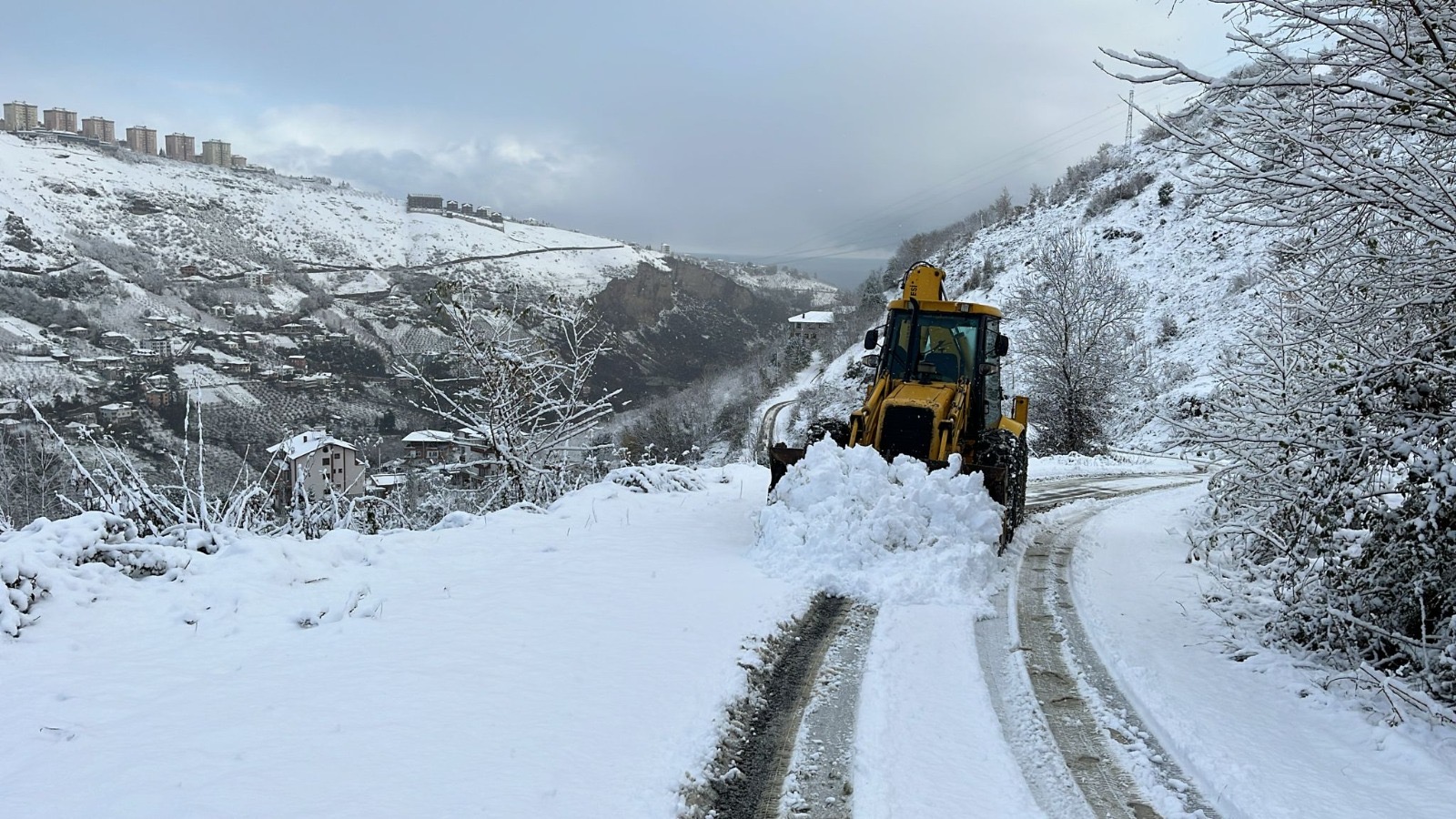 Cf66Aa65 3Ee6 4181 9Fc9 6D080D5B8D9A