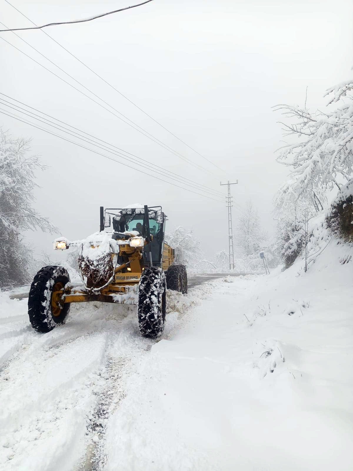 Dae765E4 7515 4C16 A7F7 629B8A17E540