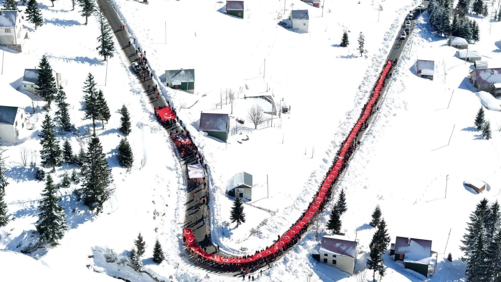 Fb047D45 Ca7E 42F1 Ab98 Bf3972Ed20Aa