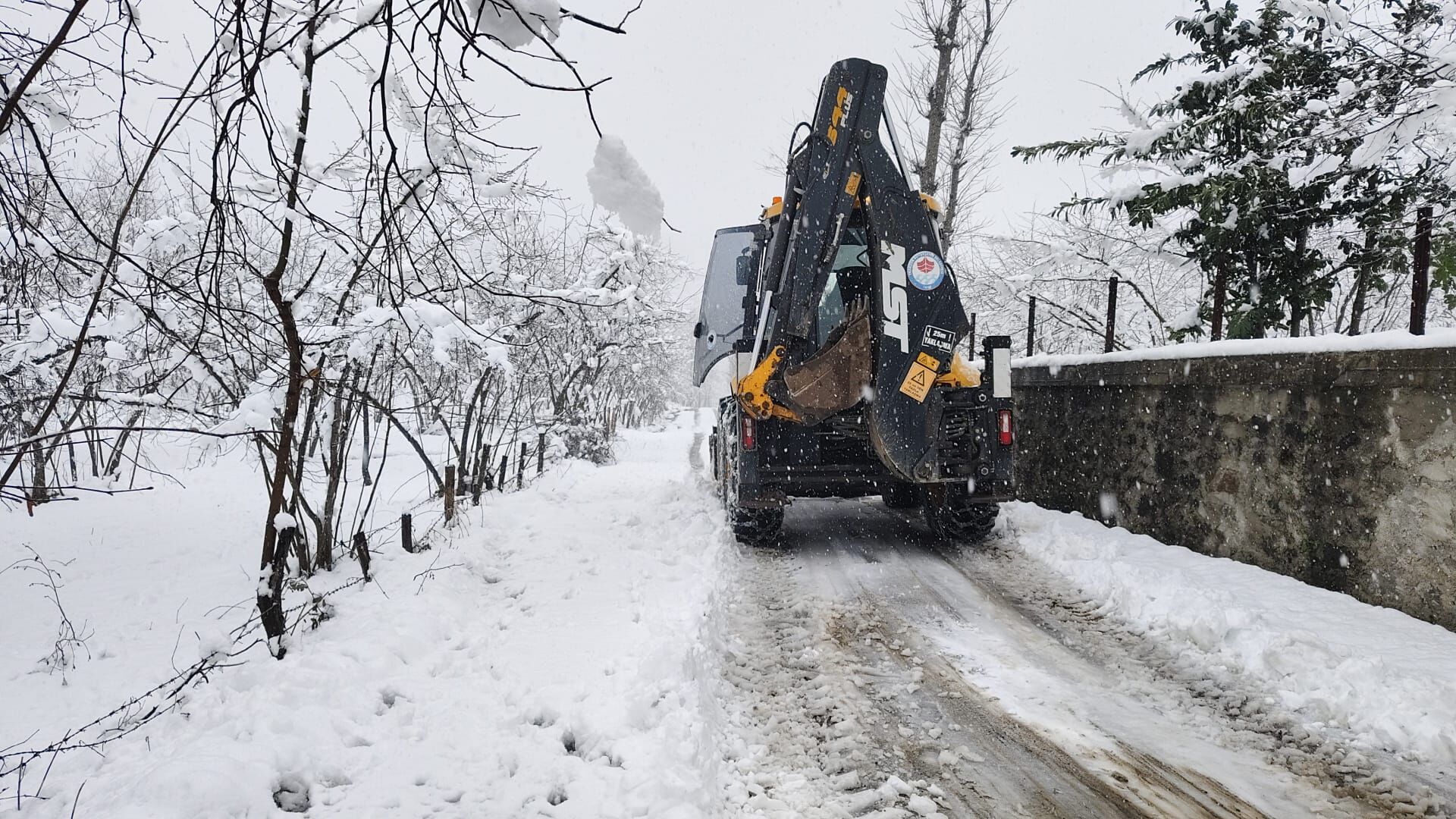 1A017194 0Ad9 43B8 B7Fe Ad143D4F863B