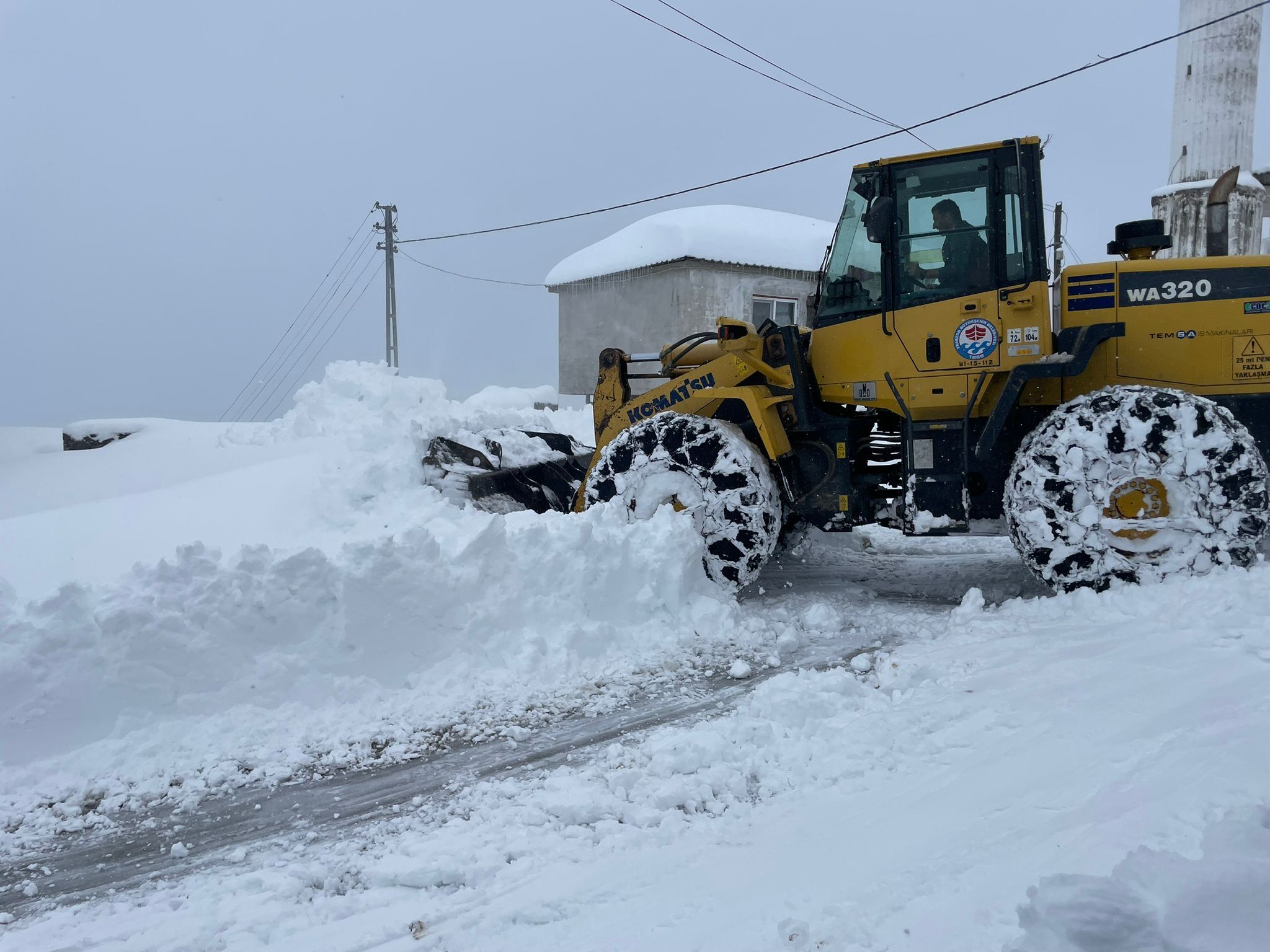 1Fae947A 80A1 46Db B195 099Fda68C2C4