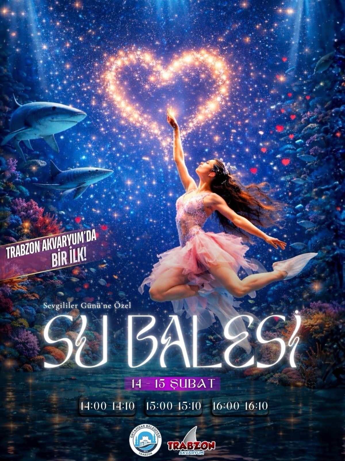 253B6Da3 Ecc8 4214 979A A30D5Fc8268E