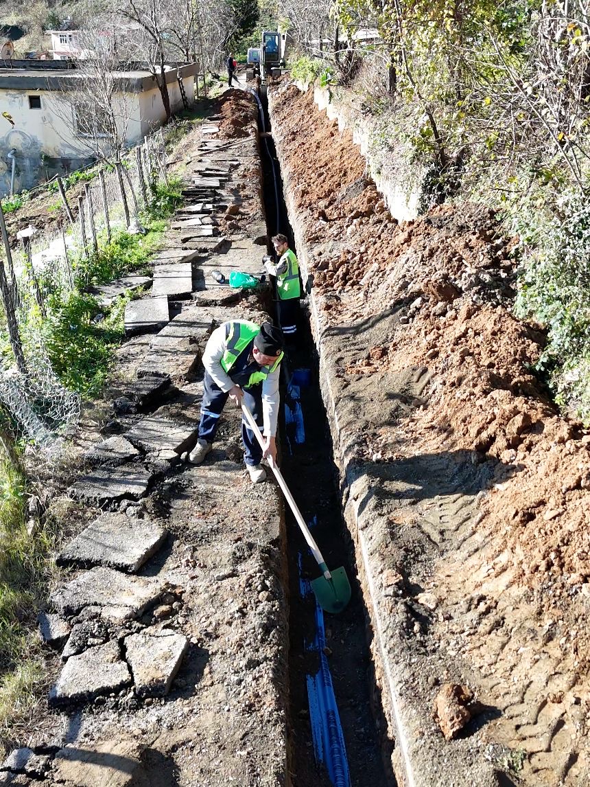 826Bebe6 1A4F 4822 Aab0 D1D3A33Dcccd