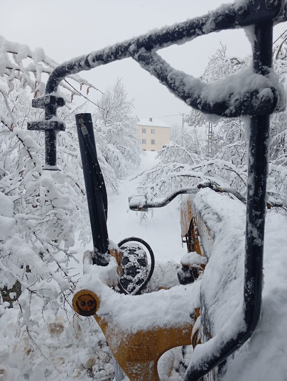 9A85Aeb6 8Ebc 4132 A00F 86B54Dfbbad6