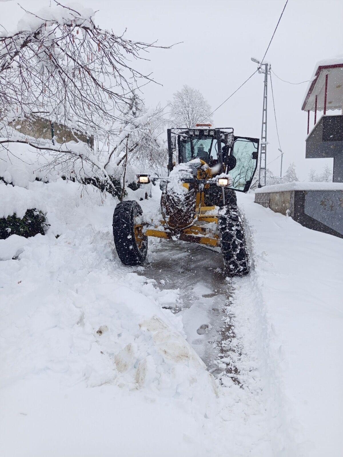 9Bd1Cbb0 1985 4C73 Bb9D A732E23Ea7D5