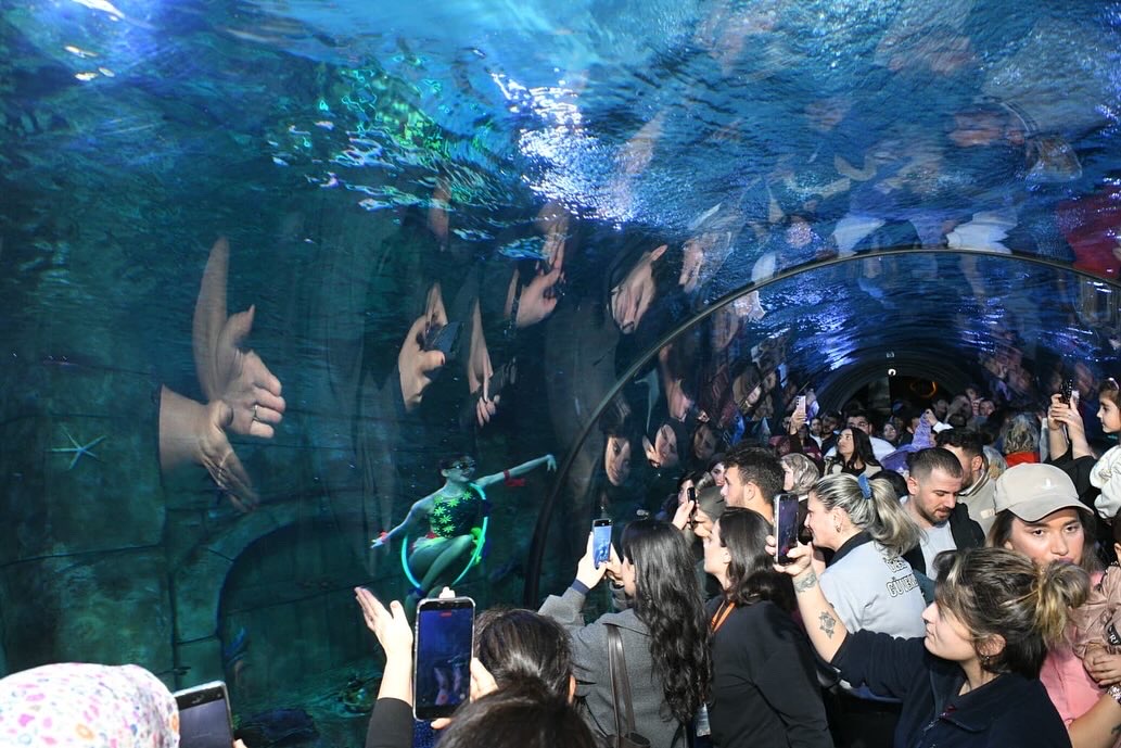 A2774926 6 B B4 443 F 9 B A6 D72 D E9690 C54