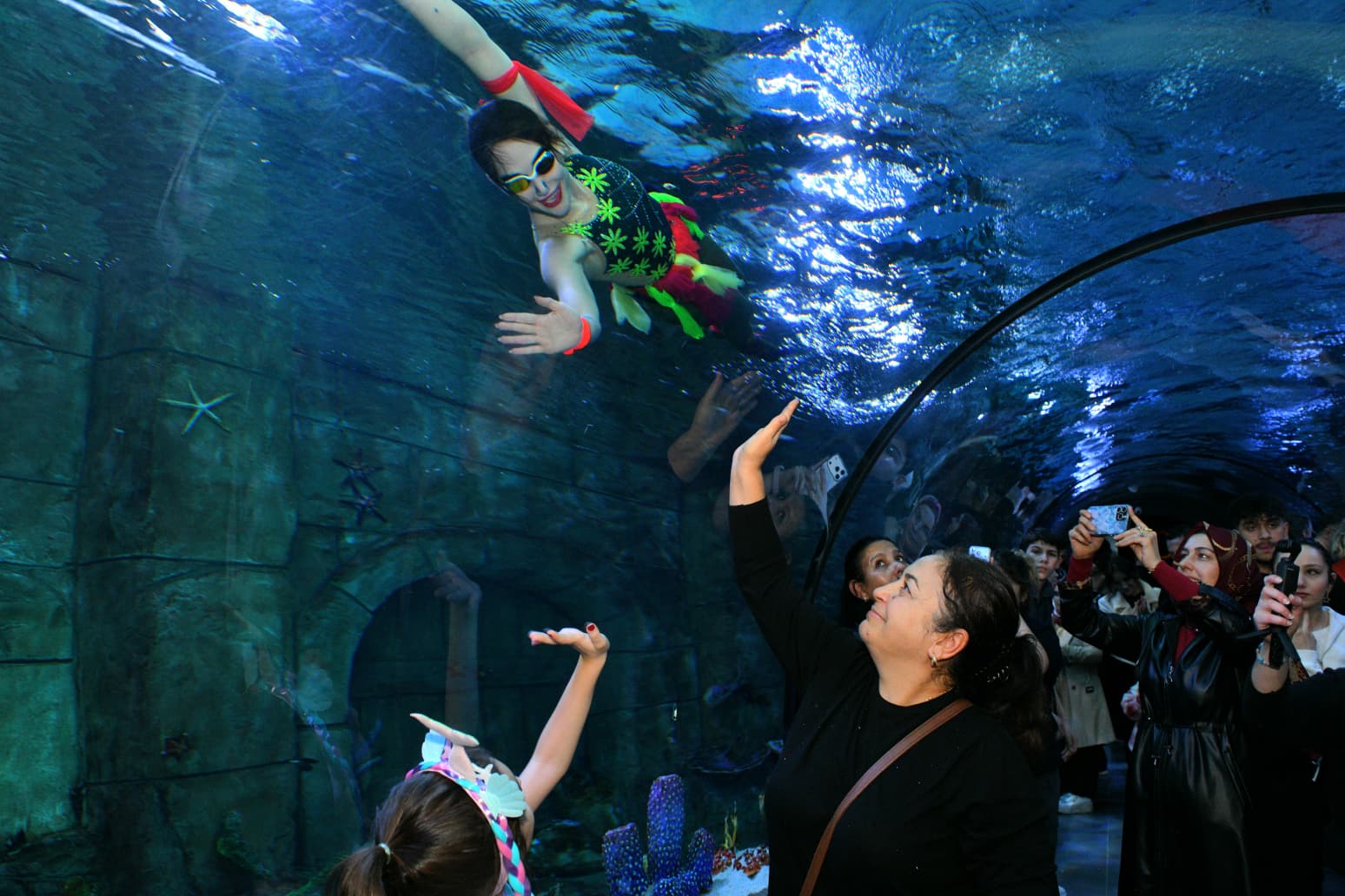 A9E6Cc7F 985D 4868 8590 8A67B58003F5