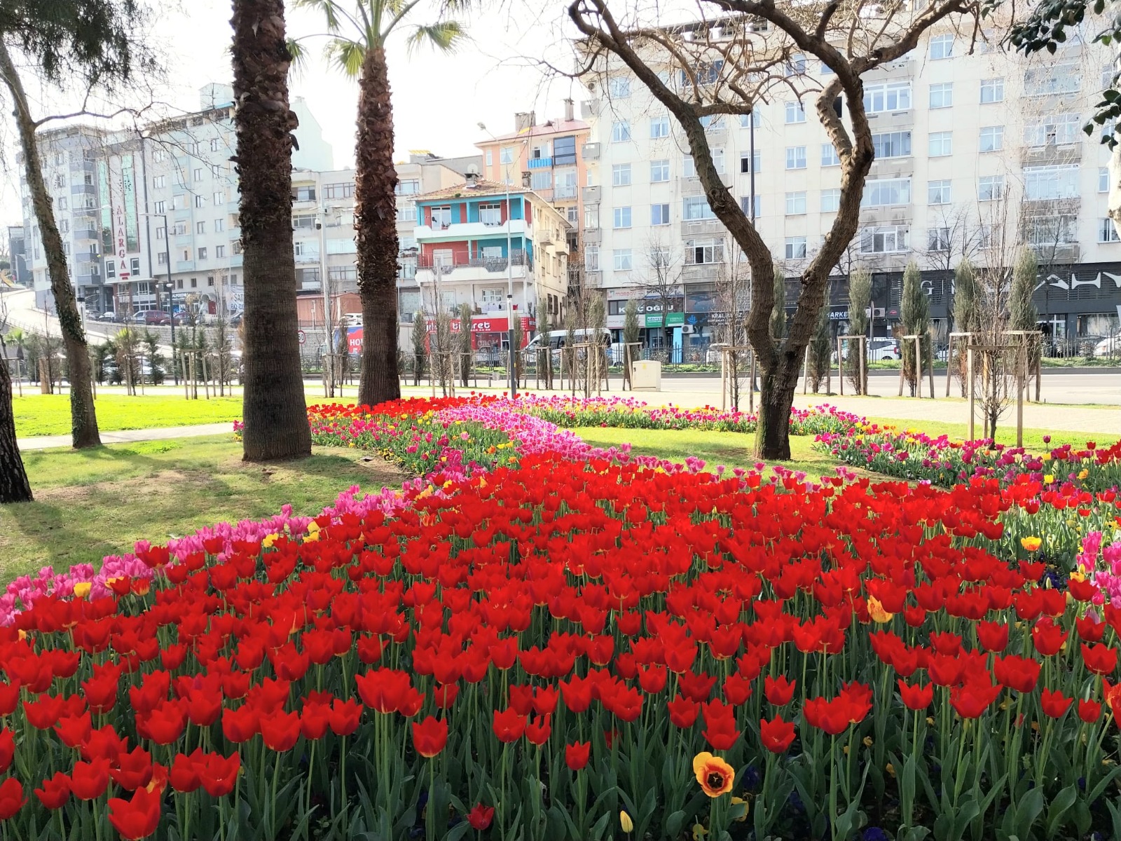 D3D1985B D63C 4Ab1 Bf11 35B997D1E6E7