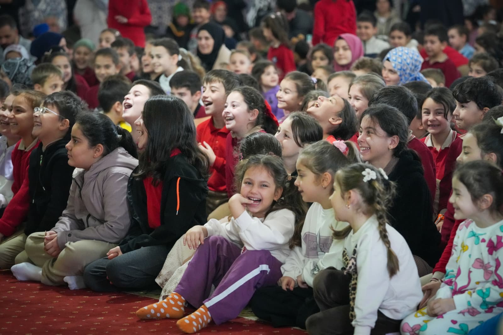 E3552600 774F 4541 83Ce 3407264Bdf0C