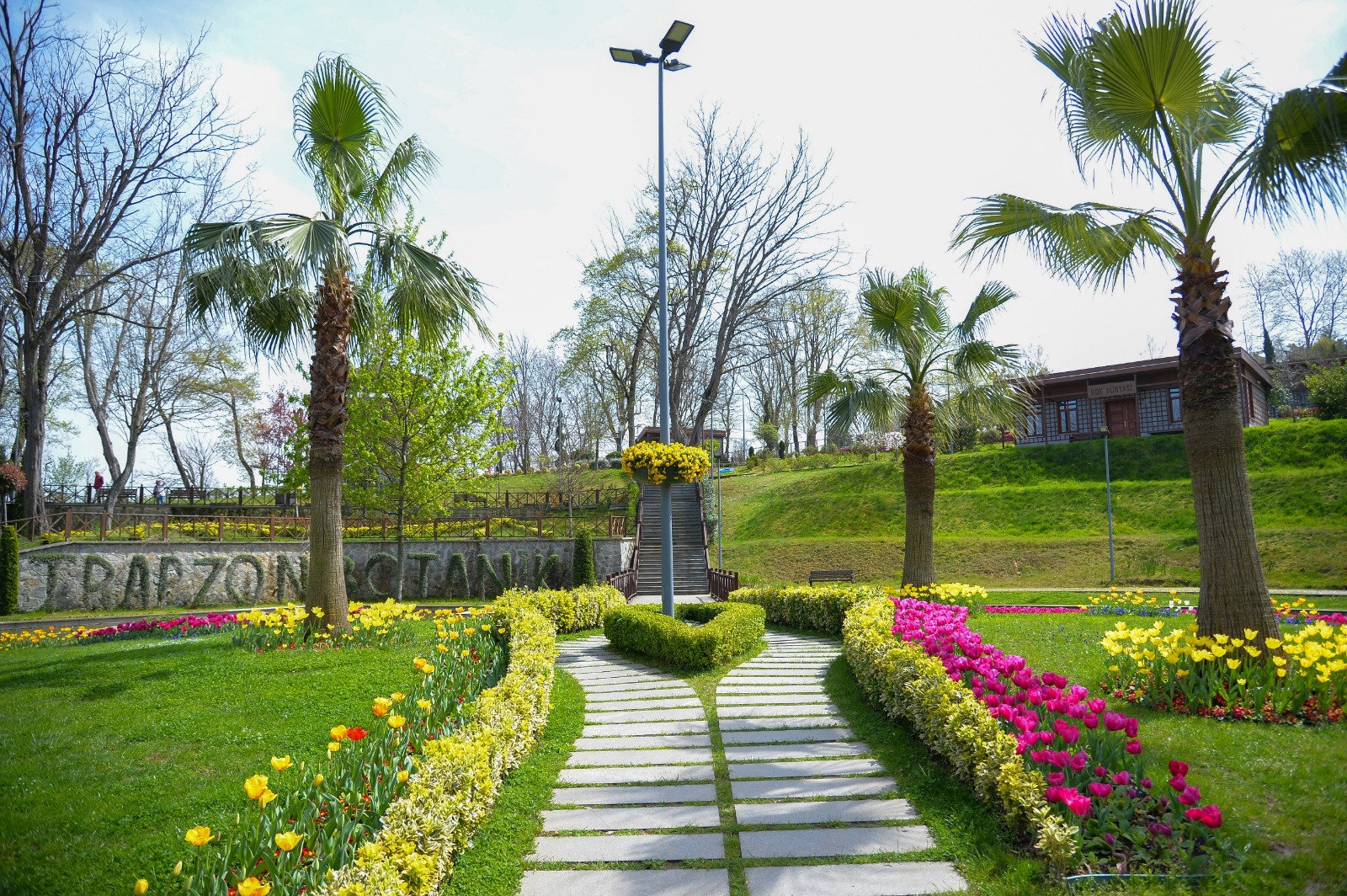 F6Bfdd3F 7F33 4606 A851 36B67D670Fbe