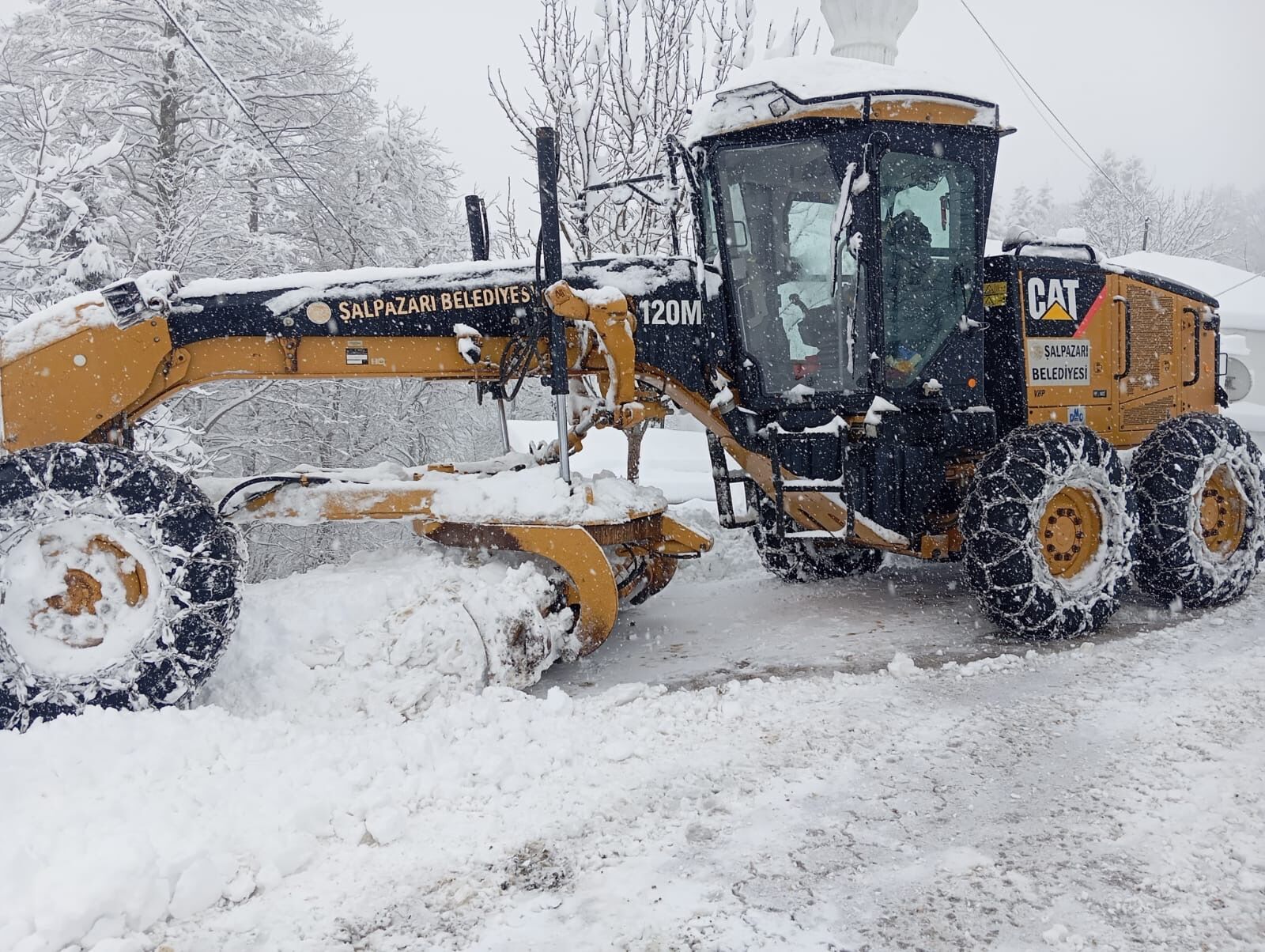 F8693Cd5 B8Cb 4Dd6 894F 047E0101Fa2D