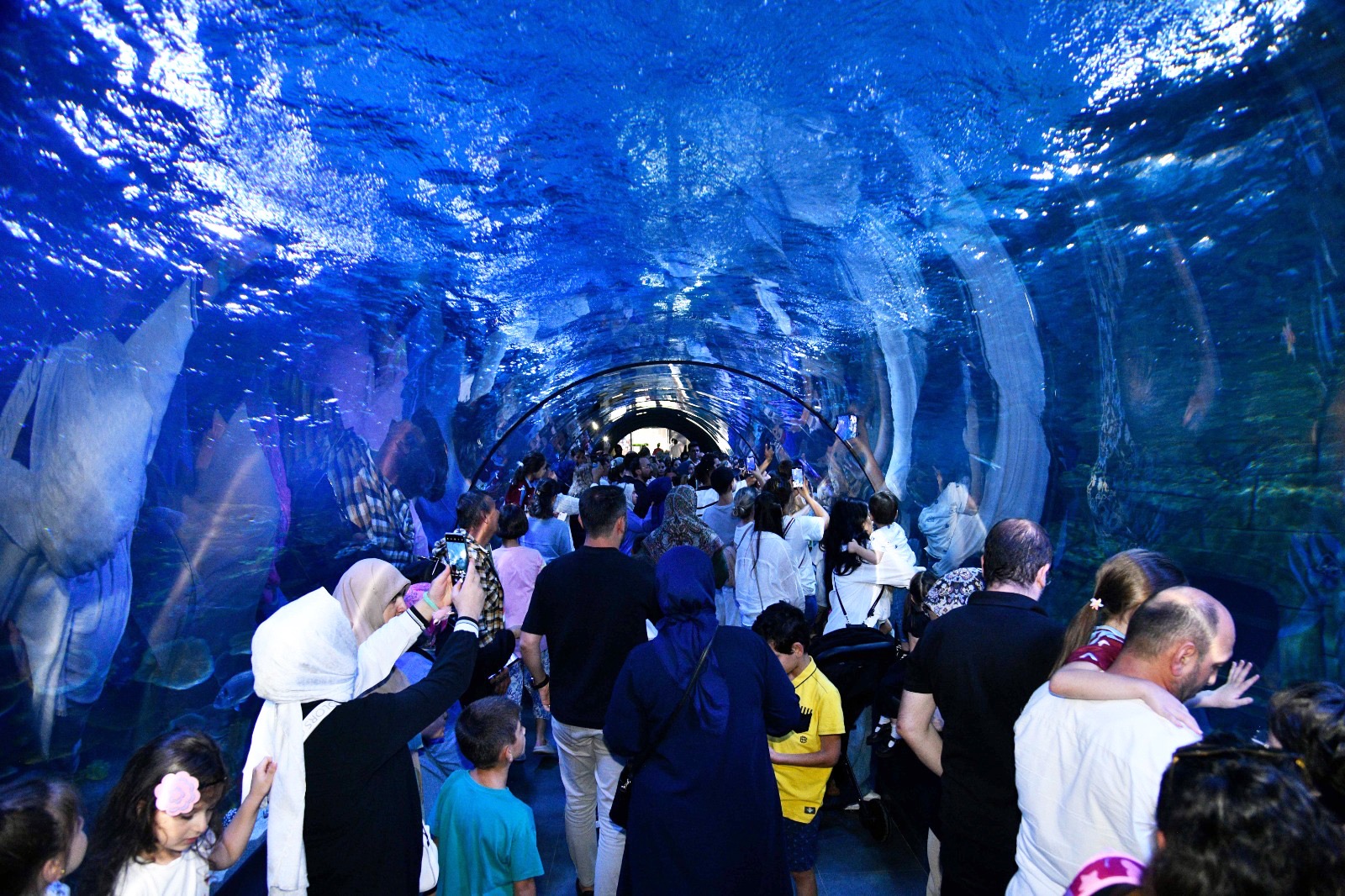 Fc130698 1949 40D6 A7Ec 8251Cd9Dbbd0