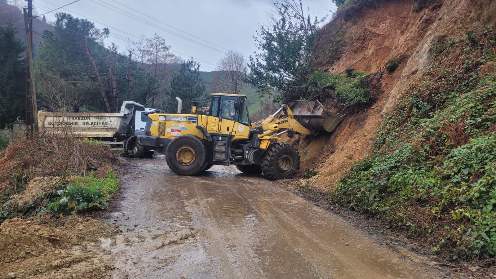 0F85A1B8 8B69 402D B476 Fdce1Eb4F250