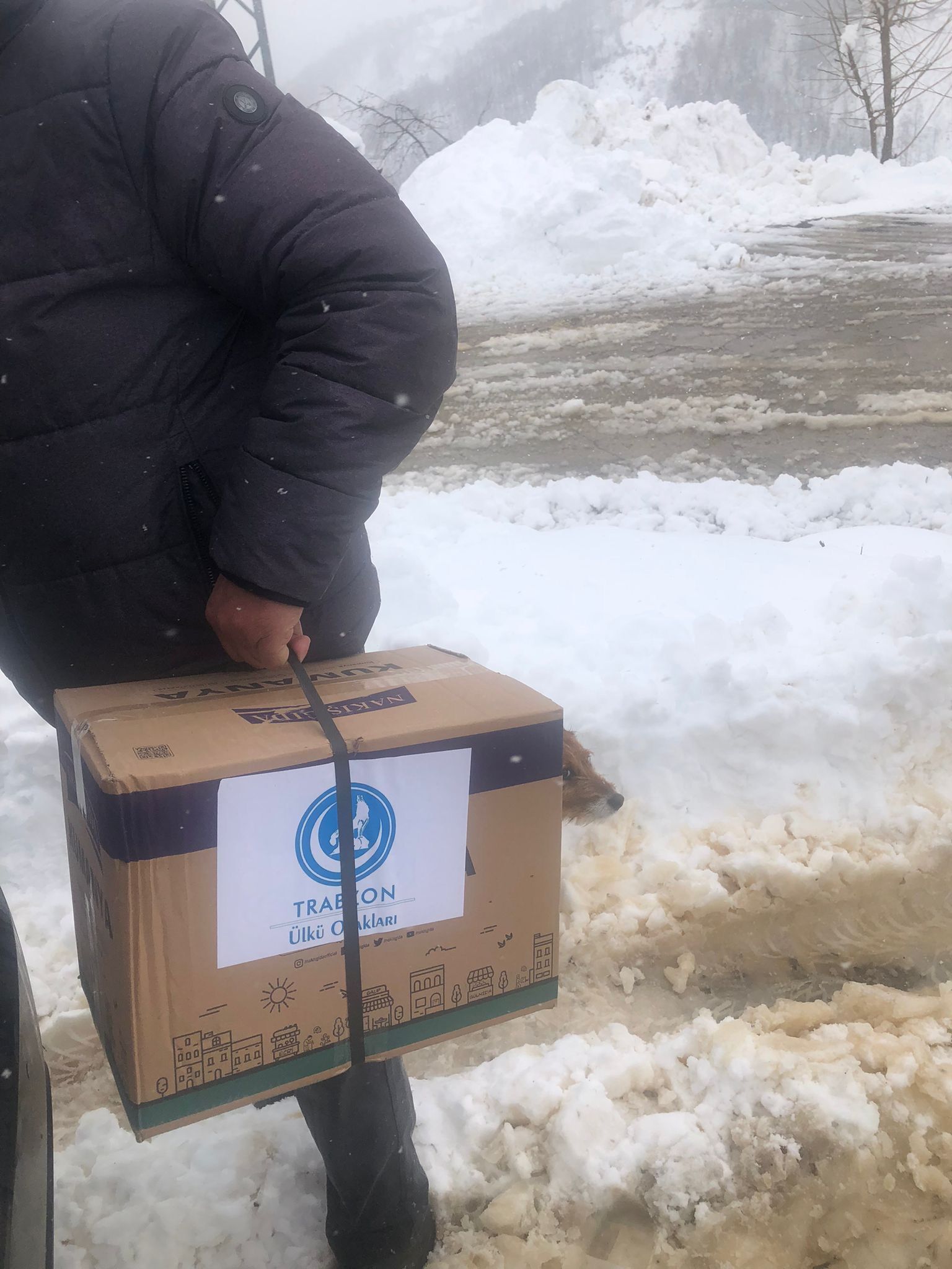 23Dfd257 8527 4672 81C4 3Cdfa6189Dbf