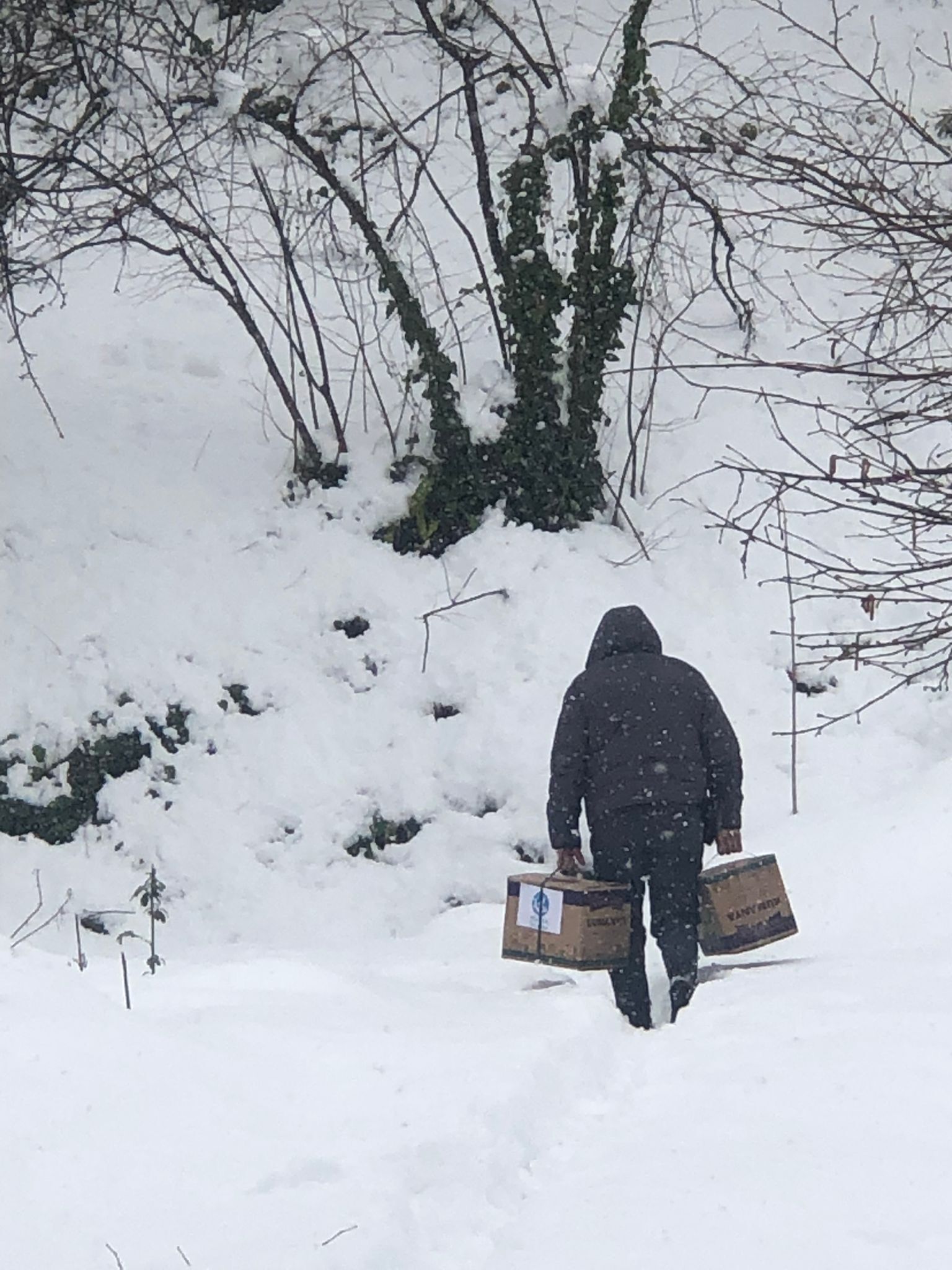 2Aacb754 B748 40F4 B50A Ae73Df1748D6