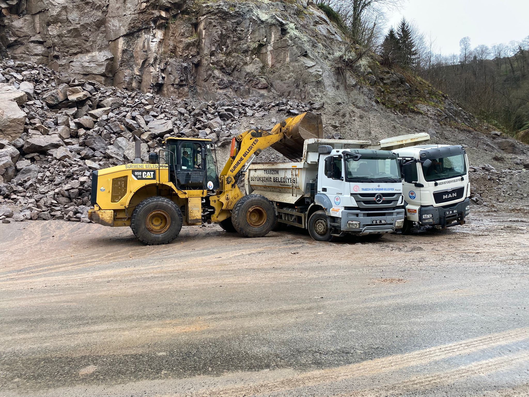 39B3D8Dc B99D 4574 951C Acf553Ecd004