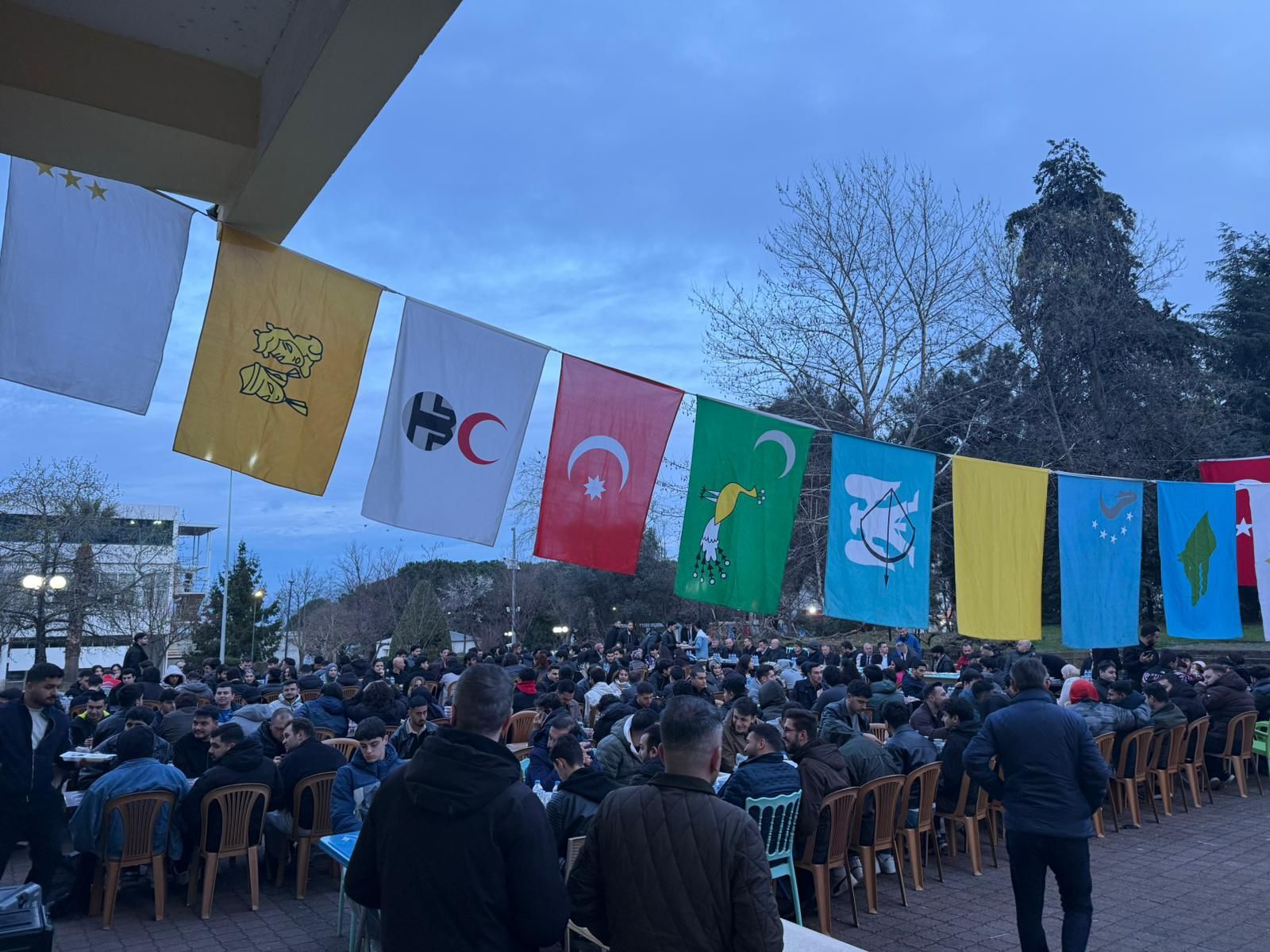 4D236Dd0 4340 4E09 Af45 04B5Ff7082A4