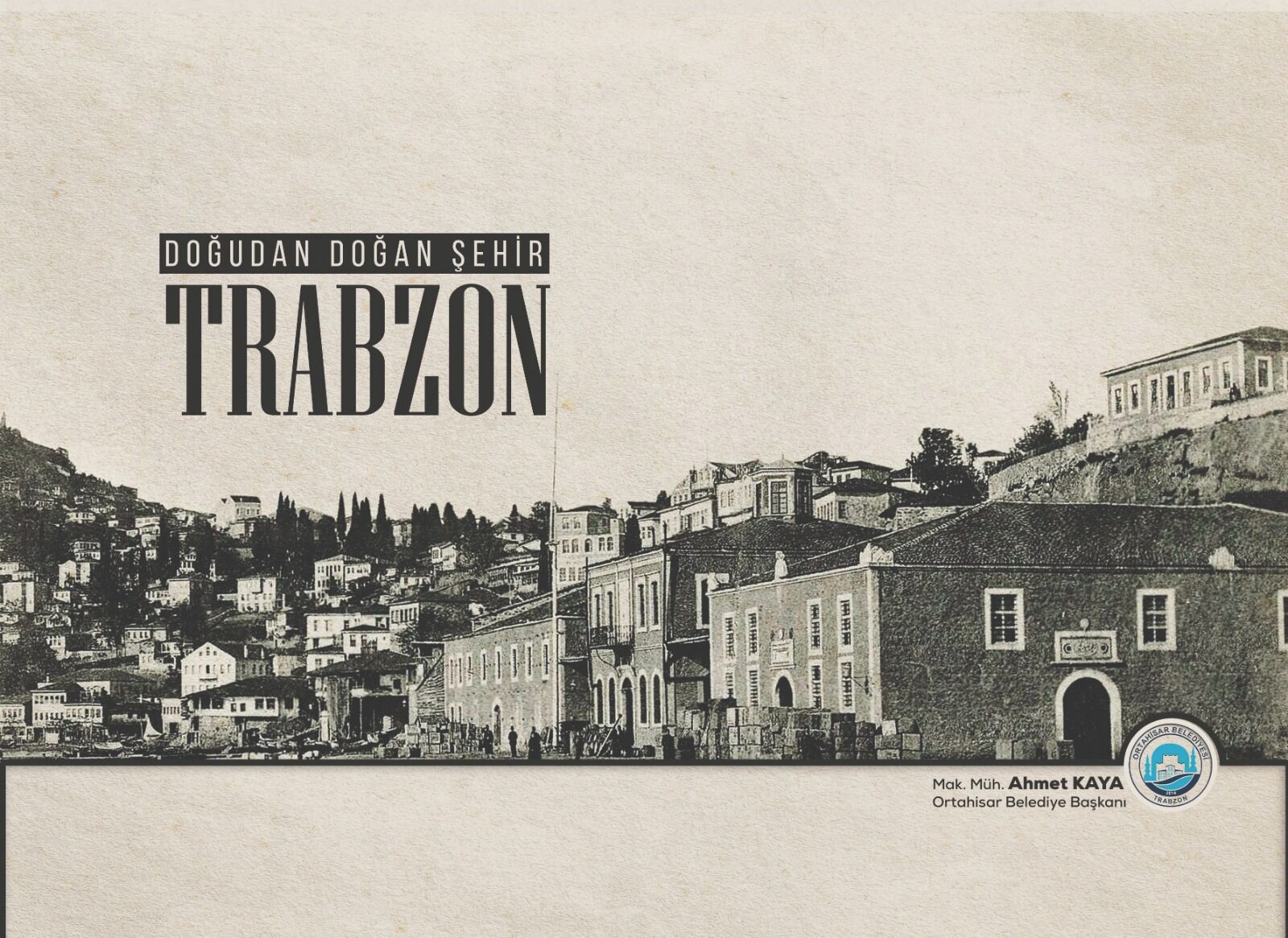 8D9D40Fa 5846 4D0E B0A8 0Fbab9Db94B1