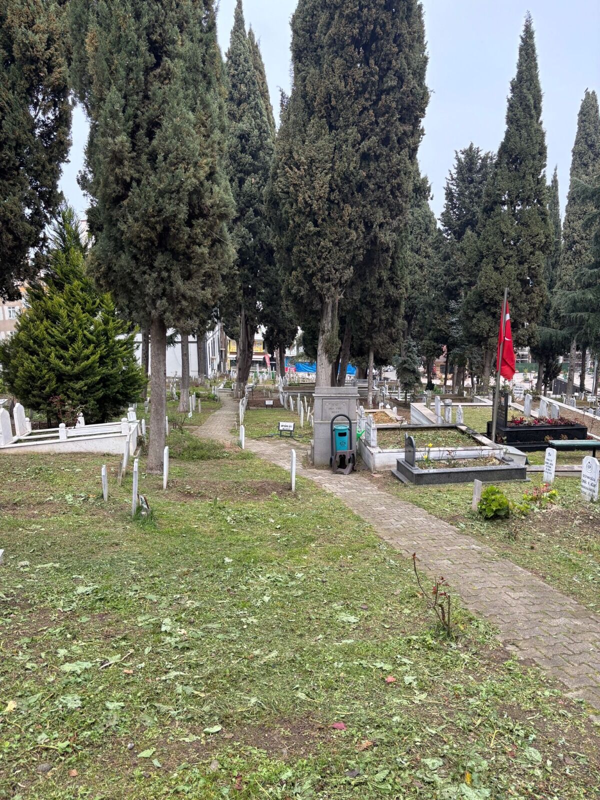 E8349830 1F54 42B7 B7Ea Fa7275A95894