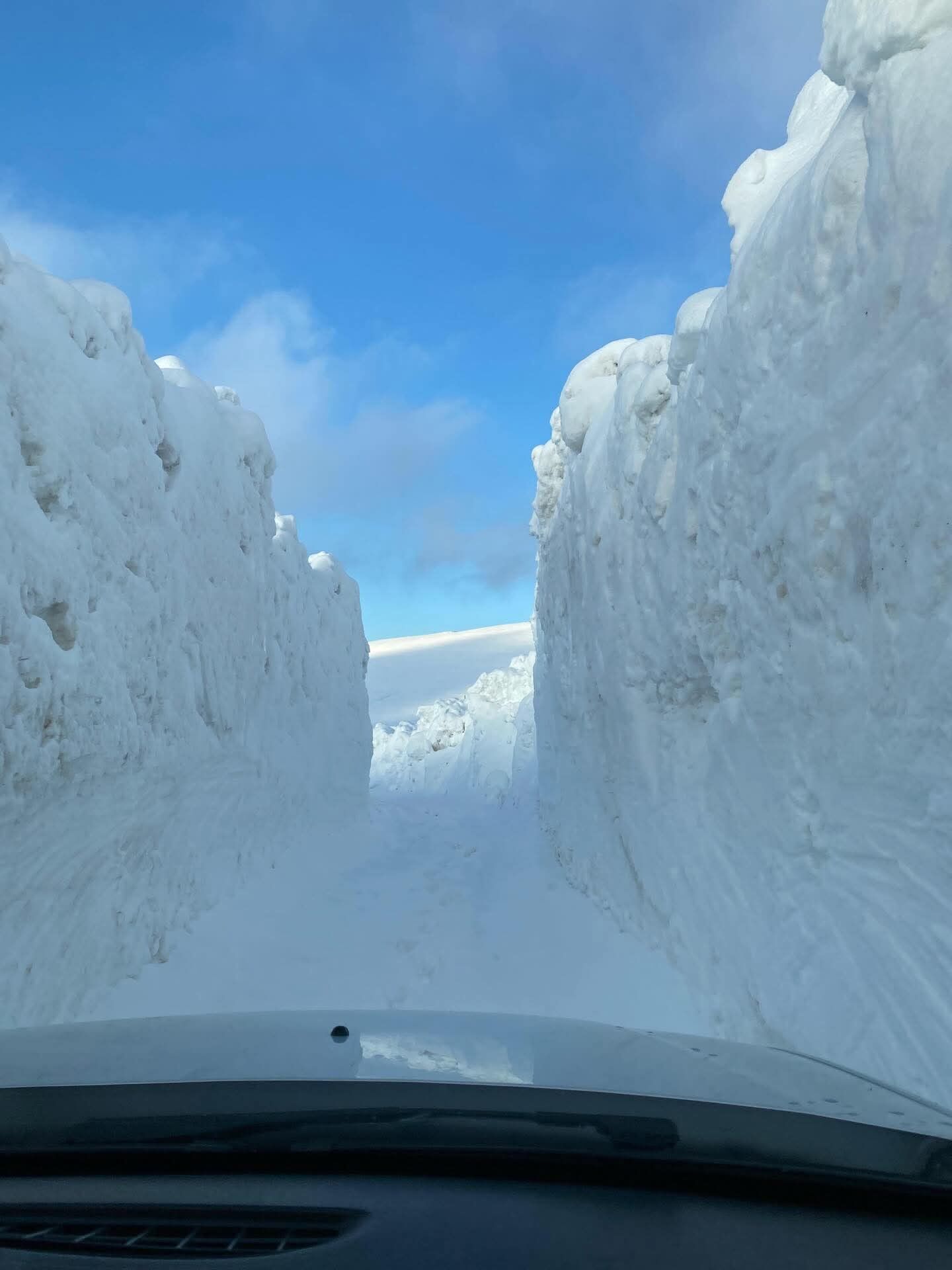 0Dea95A4 68B4 4De6 A0Dc 3D3293A353C3-1