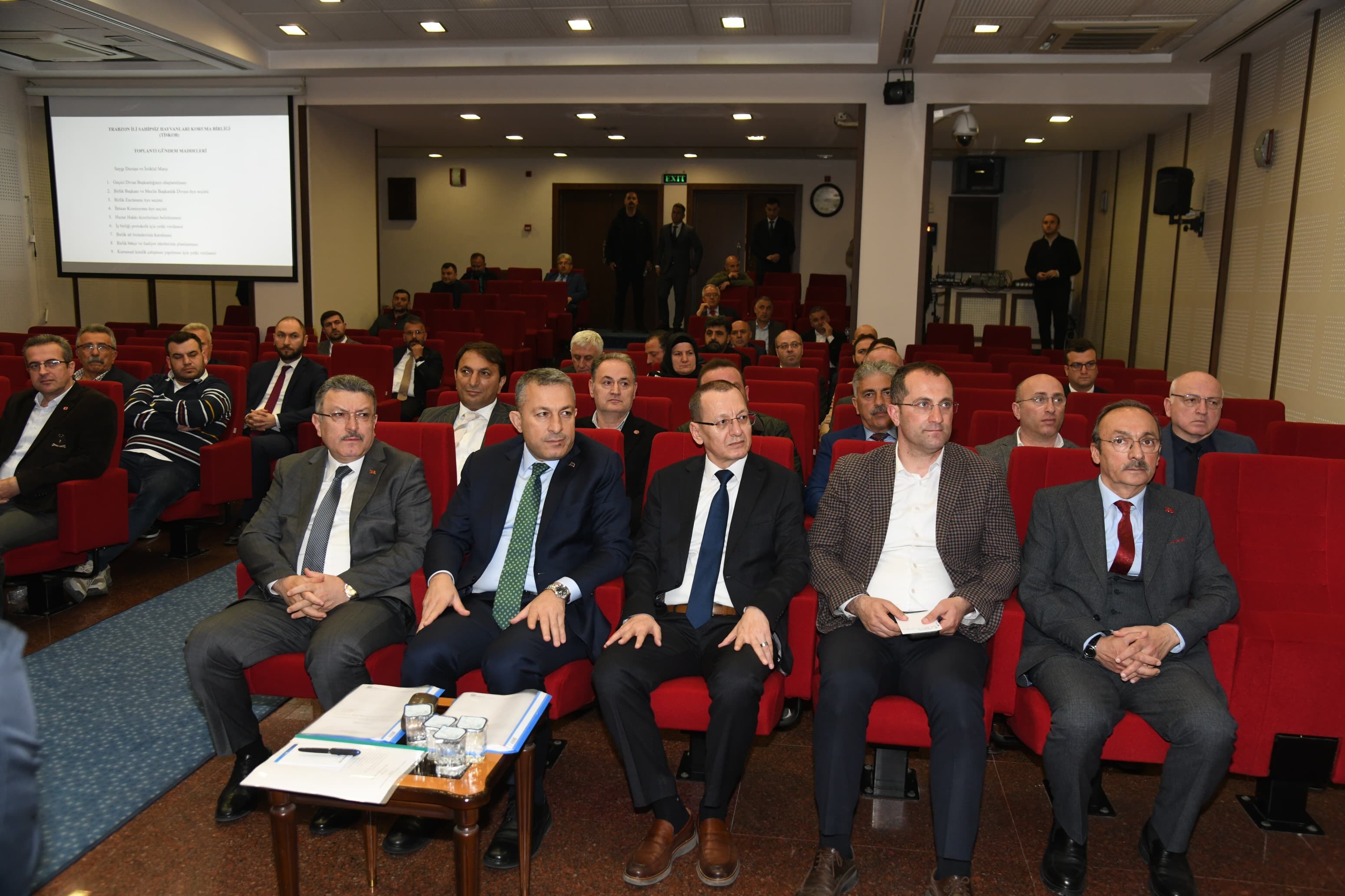 1557F41D Bd41 44Ae B205 B8579A22D957