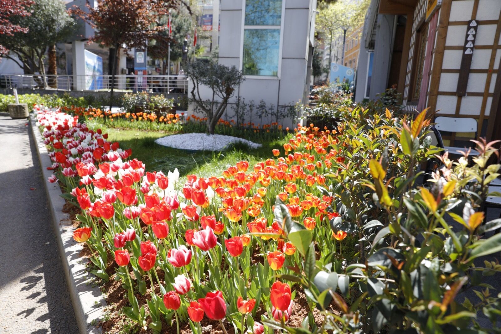 5B3A9E8B 5Ba0 4078 A35F 05Adddb6E59C