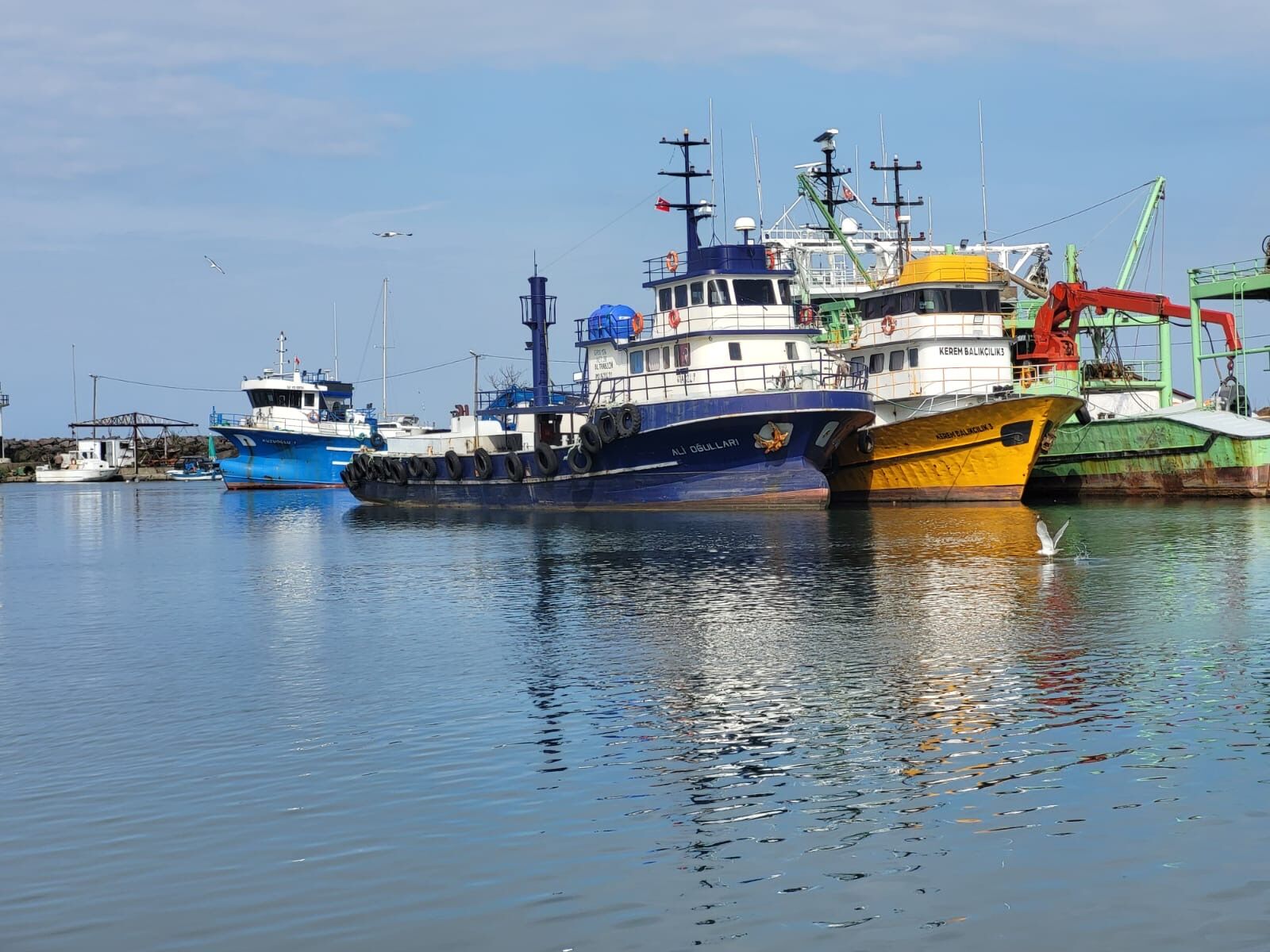 7C434Ddf F957 495A A778 624B43C8D68D