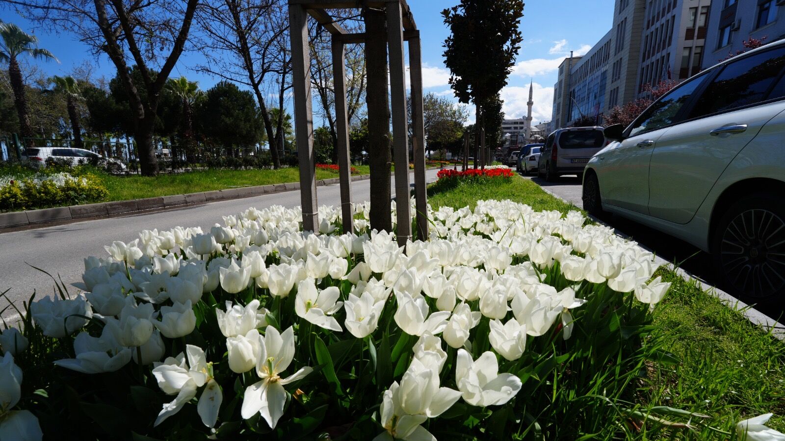 8Eb49714 14D6 4054 B855 E73F00C5Dd32