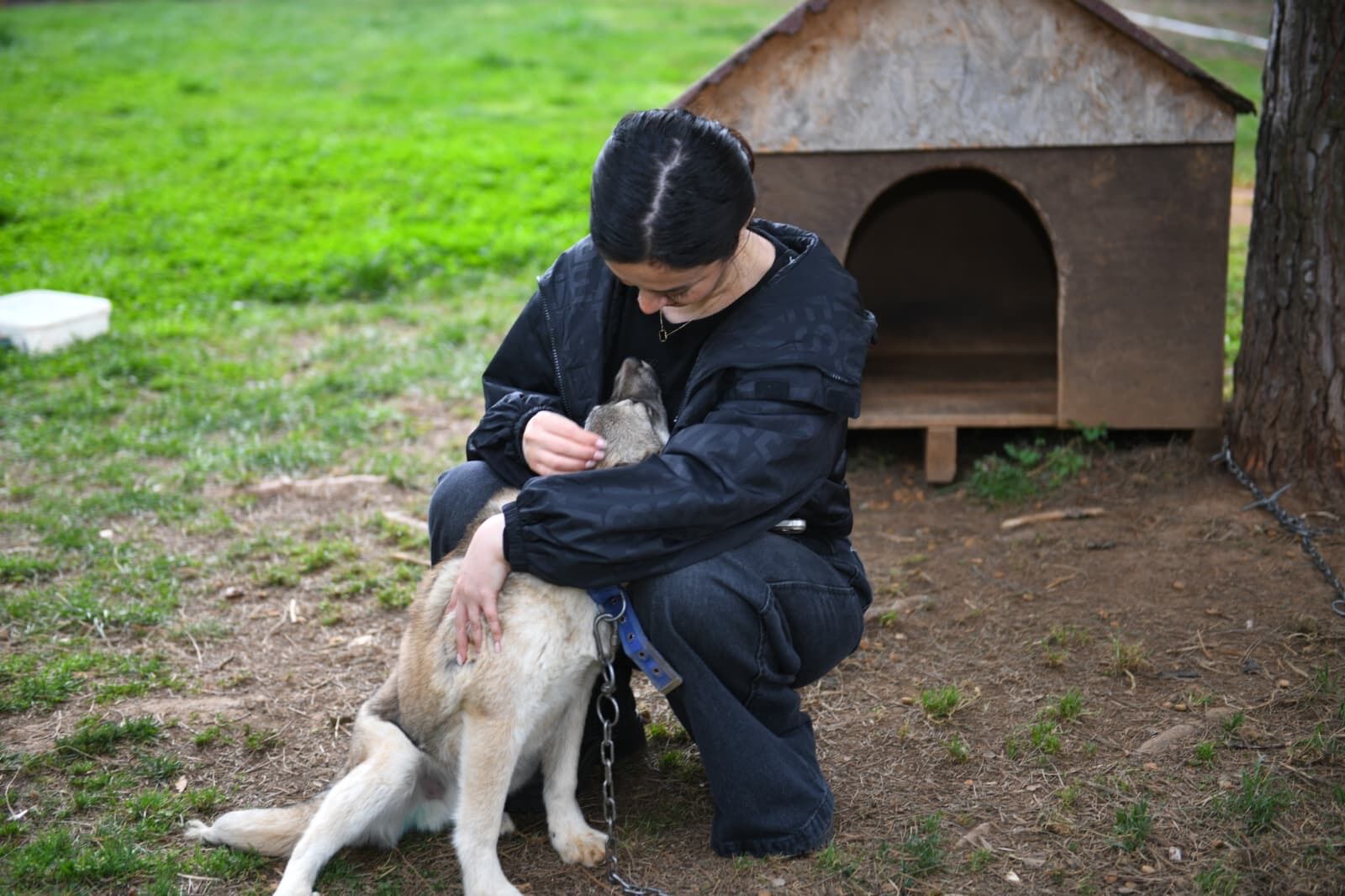 Bd35Cdef F0Dc 47E4 B3Ea 2E15712E461A