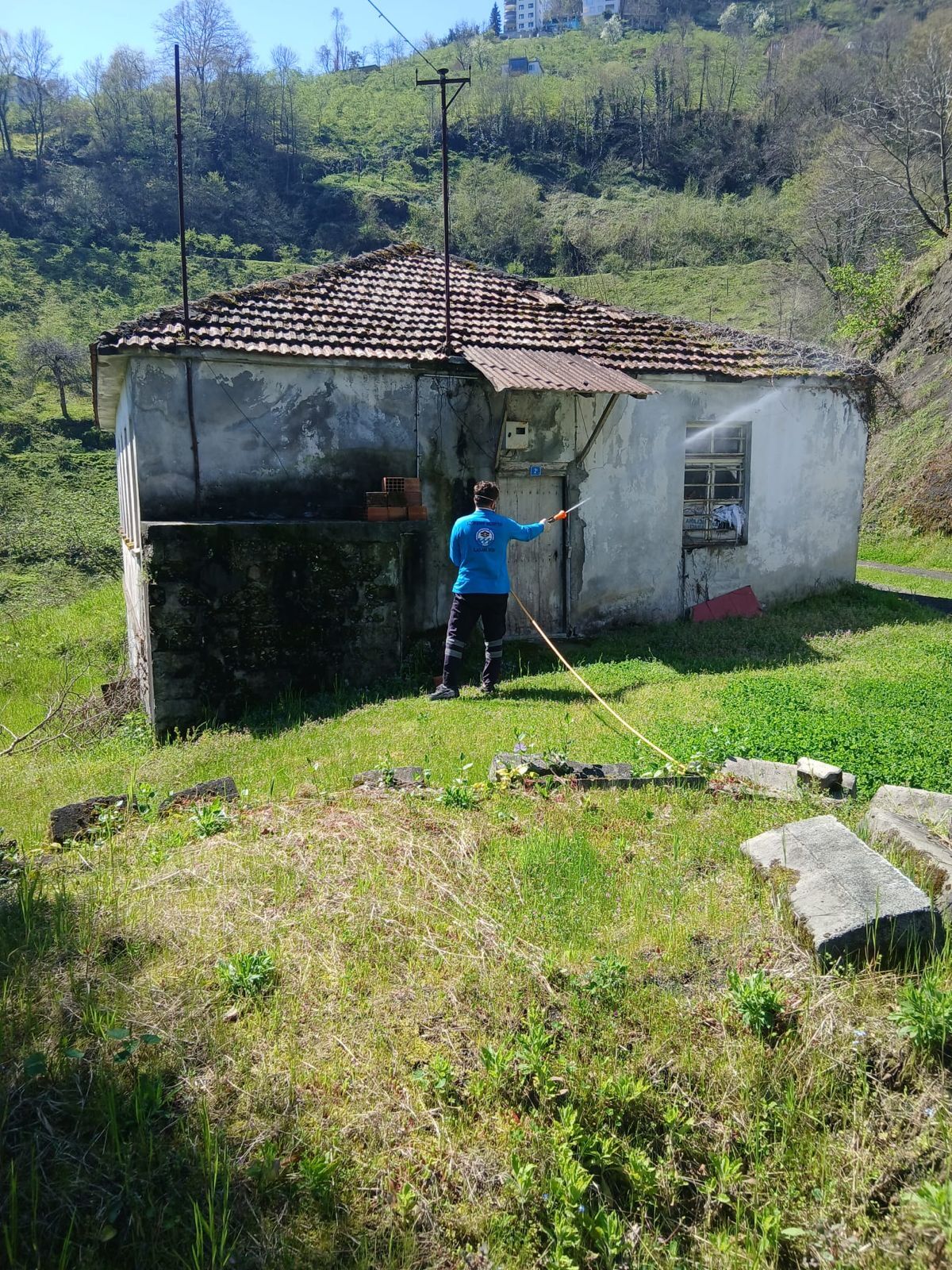 Ce928E35 7Cf9 4428 8D74 7Ccd5F87Cb2C