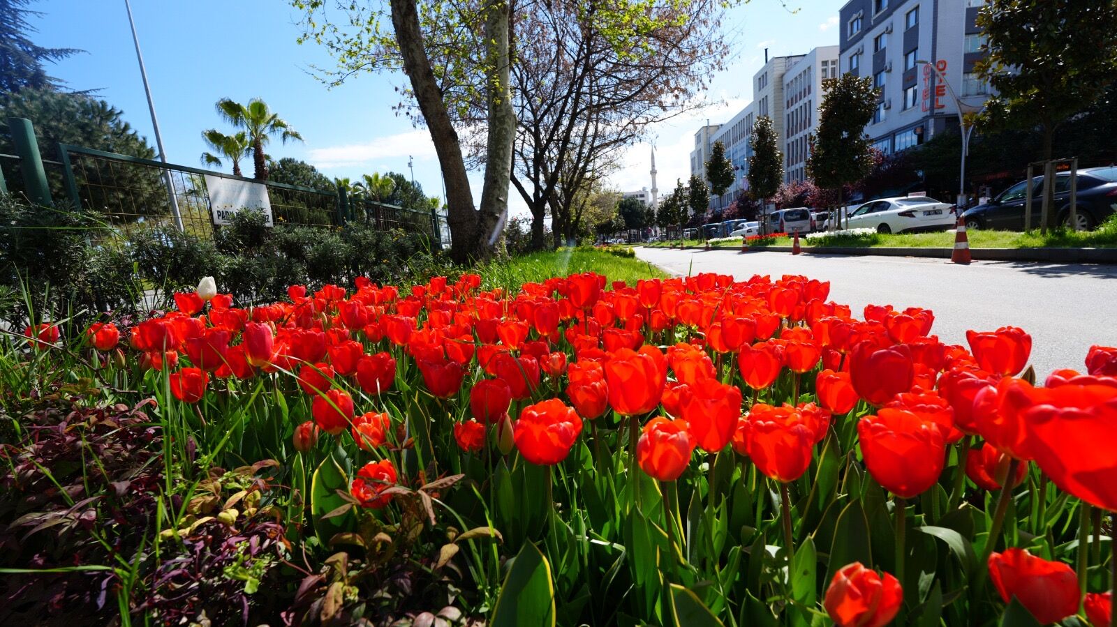 Db5B04D9 1F16 4Df4 9B03 Aac1C6Eeb8Aa