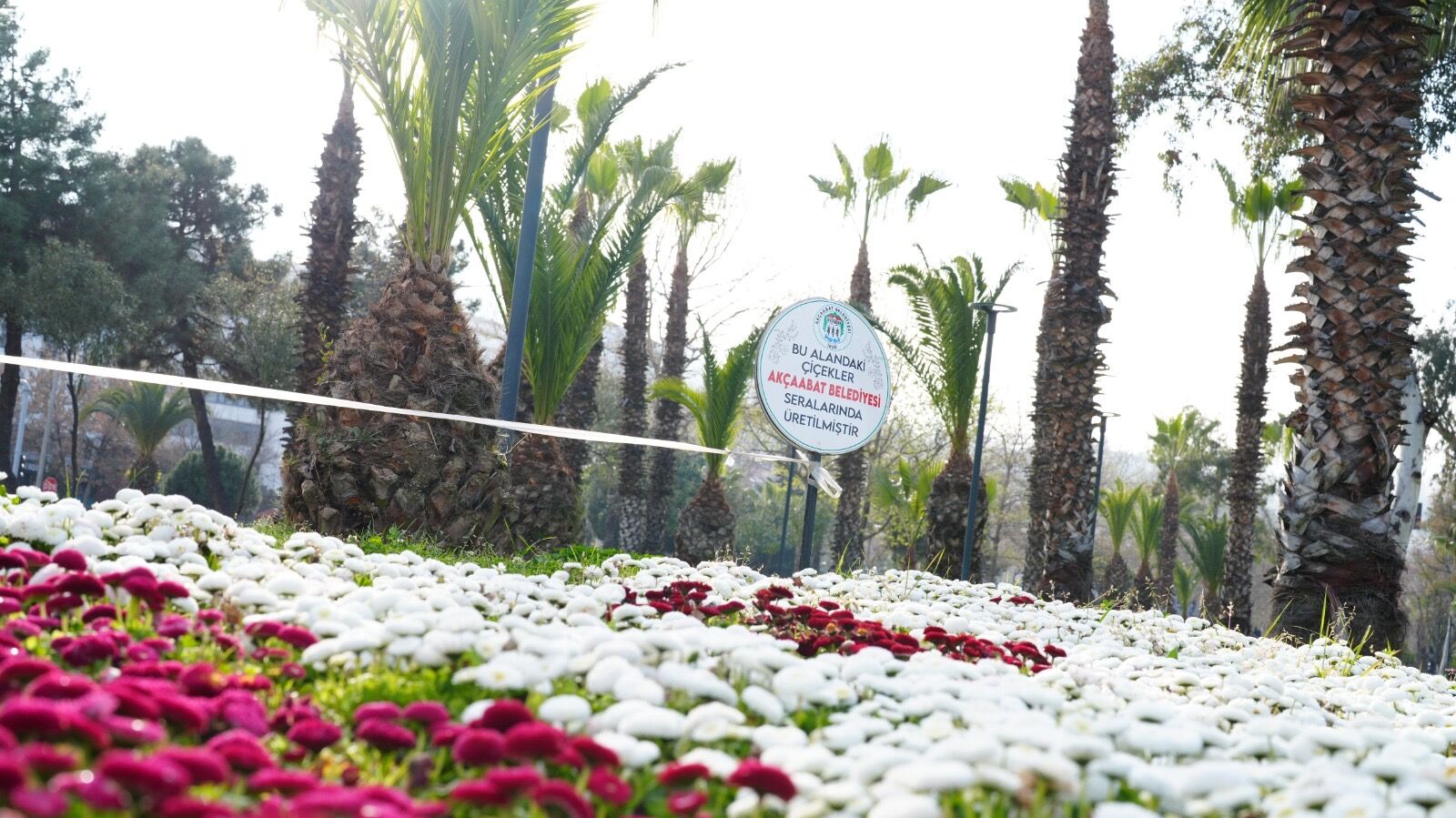 E11F5317 2109 41Ca B818 3621D299A5C5