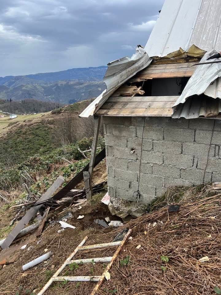 E99A7438 E63D 42C5 B404 C8682B121D8B